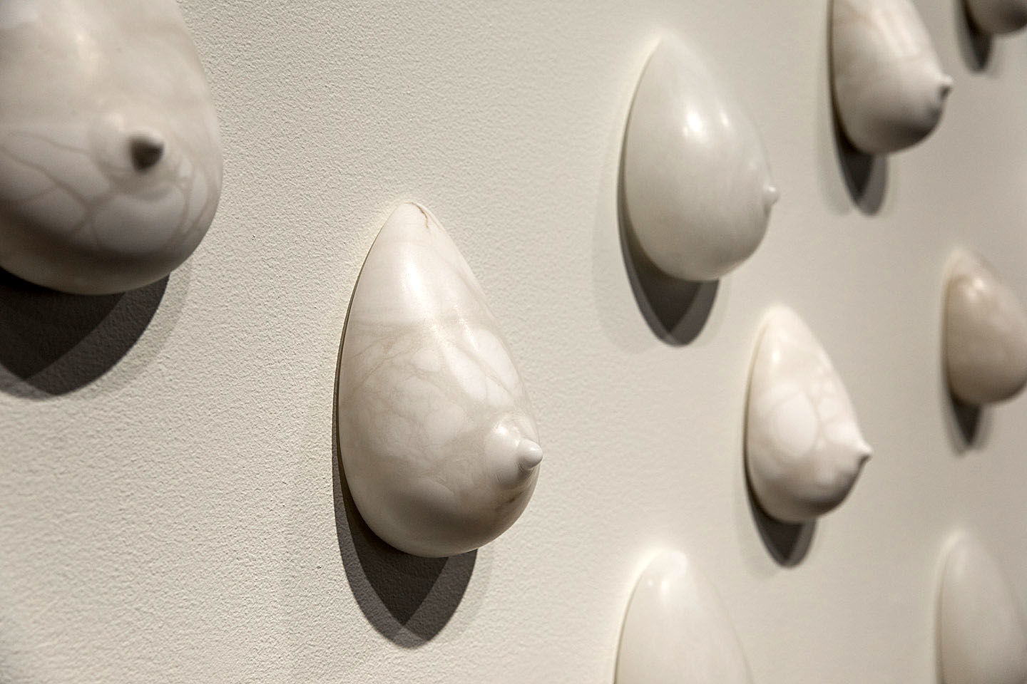 Tayloe Piggott Gallery
